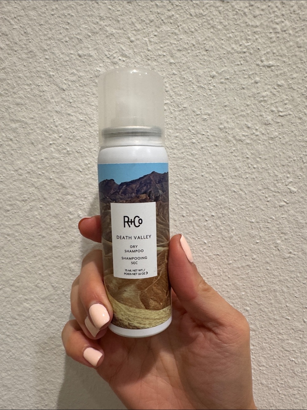 R+Co Death Valley Dry Shampoo
